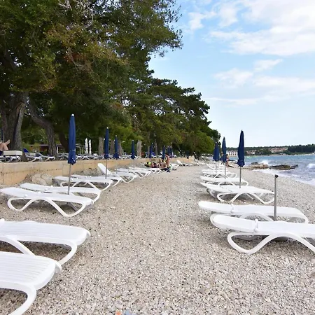 With Swimming Pool Zambratija, Umag - 27150 Appartement
