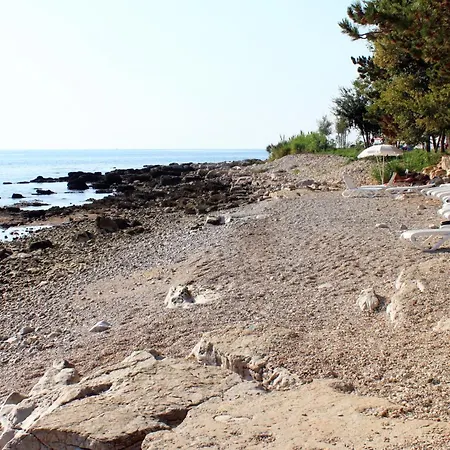 With Swimming Pool Zambratija, Umag - 27150